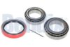 OPEL 328411 Wheel Bearing Kit